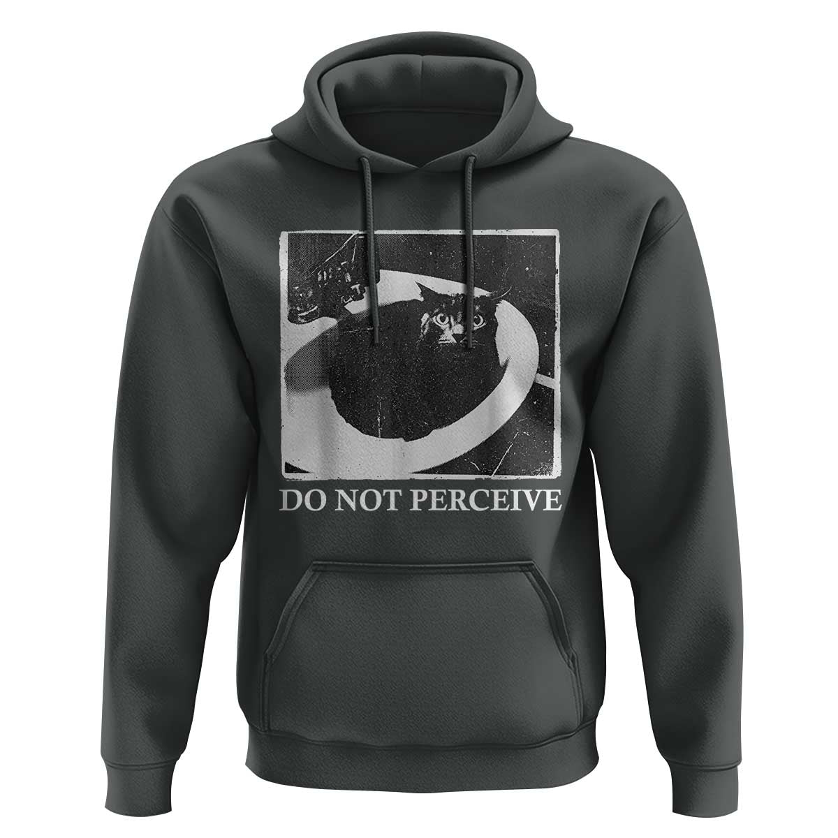 Do Not Perceive Me Funny Meme Cat Lover Hoodie Funny Cat Sarcstic Meme