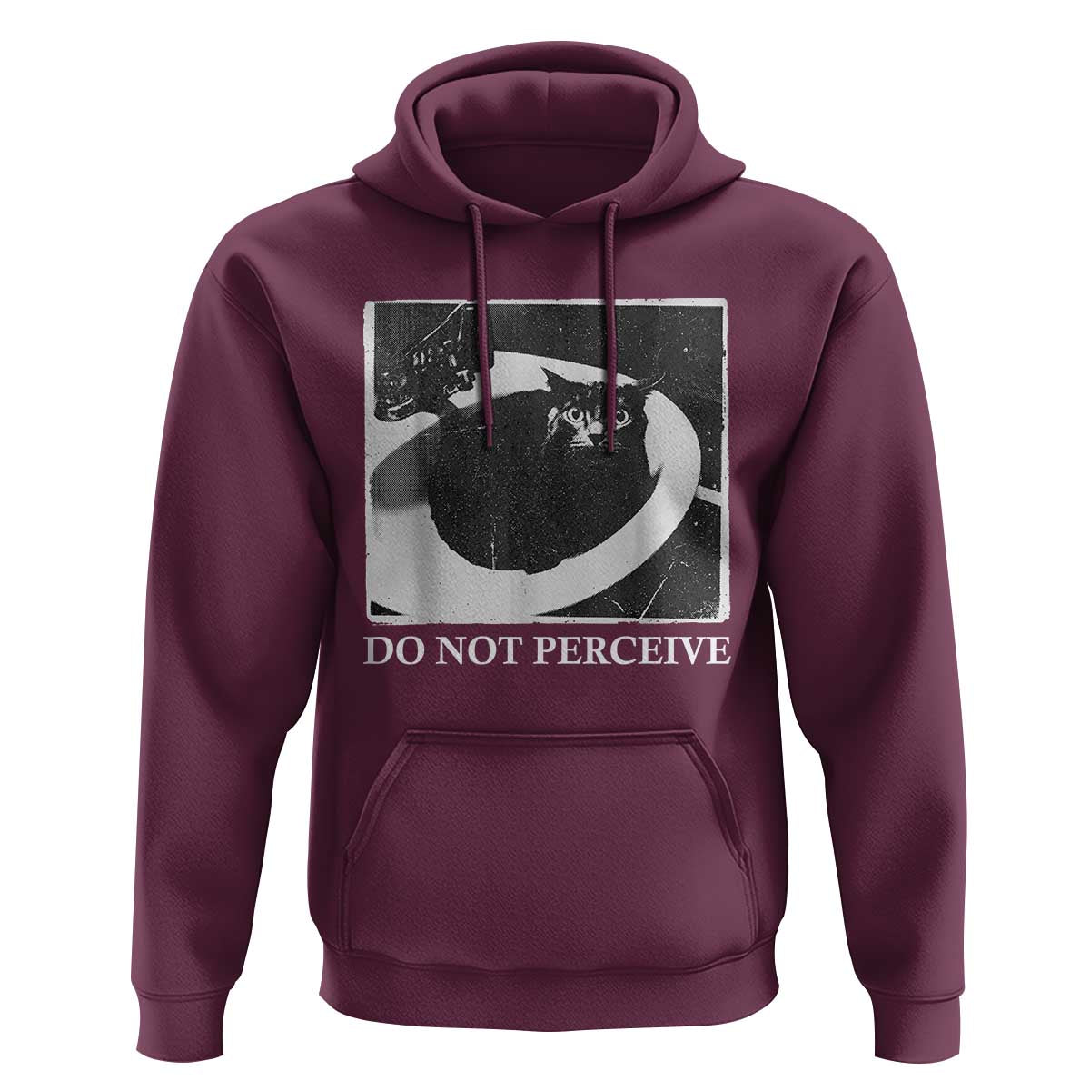 Do Not Perceive Me Funny Meme Cat Lover Hoodie Funny Cat Sarcstic Meme