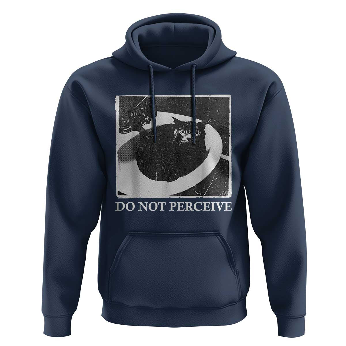 Do Not Perceive Me Funny Meme Cat Lover Hoodie Funny Cat Sarcstic Meme