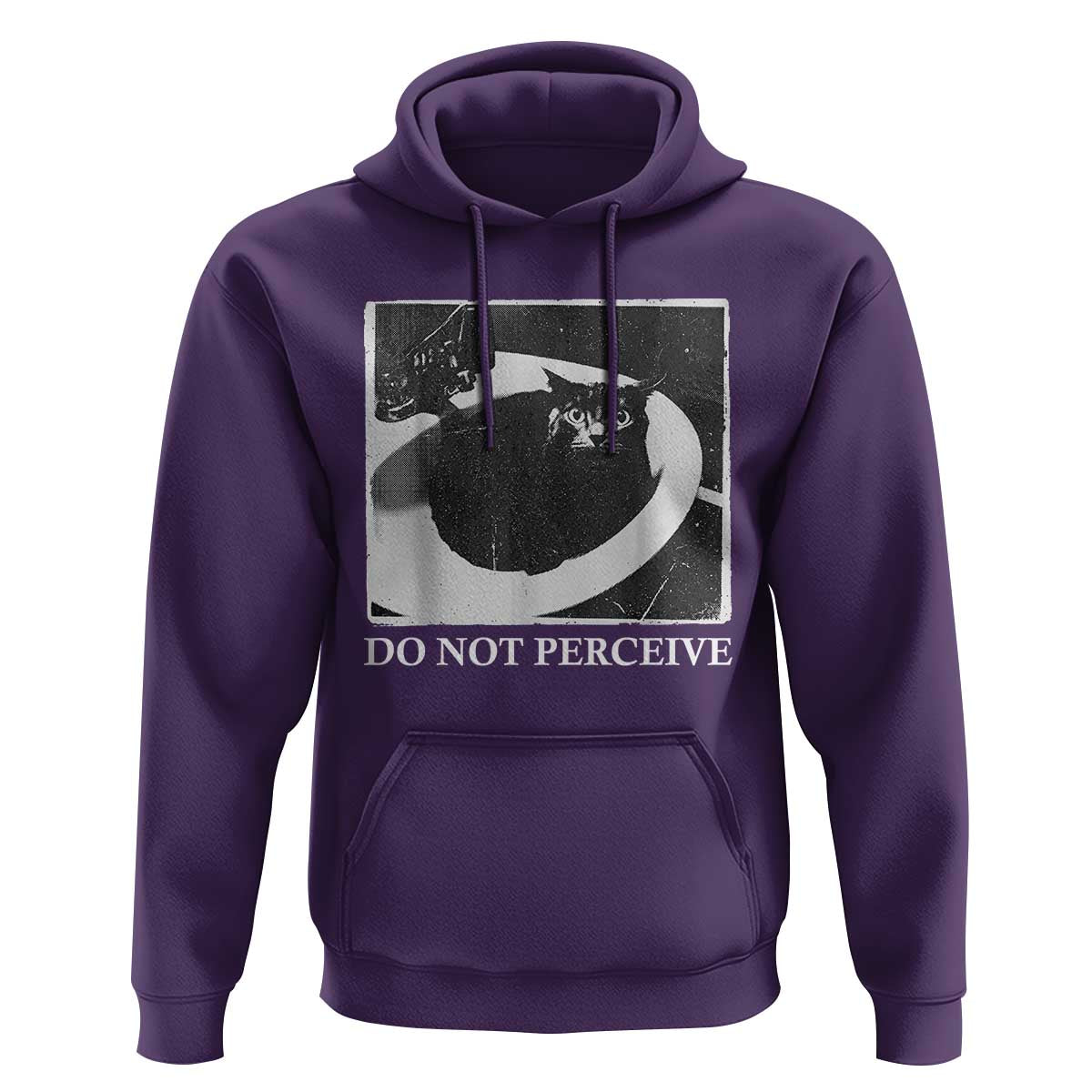Do Not Perceive Me Funny Meme Cat Lover Hoodie Funny Cat Sarcstic Meme