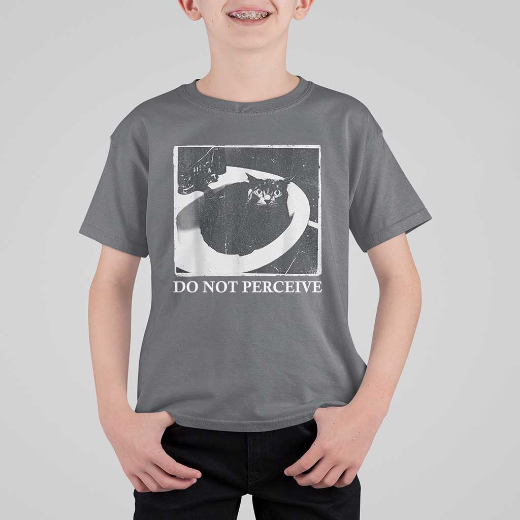 Do Not Perceive Me Funny Meme Cat Lover T Shirt For Kid Funny Cat Sarcstic Meme