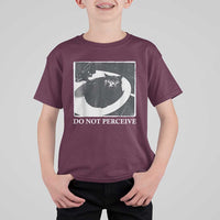 Do Not Perceive Me Funny Meme Cat Lover T Shirt For Kid Funny Cat Sarcstic Meme