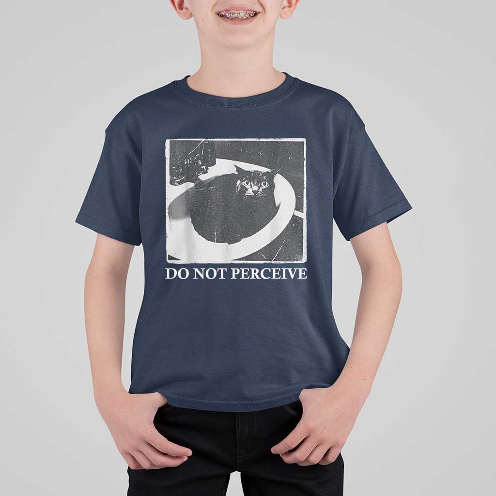 Do Not Perceive Me Funny Meme Cat Lover T Shirt For Kid Funny Cat Sarcstic Meme