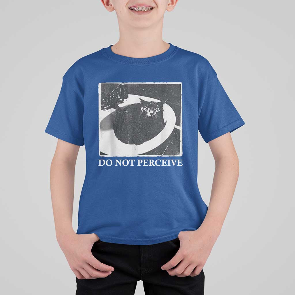 Do Not Perceive Me Funny Meme Cat Lover T Shirt For Kid Funny Cat Sarcstic Meme