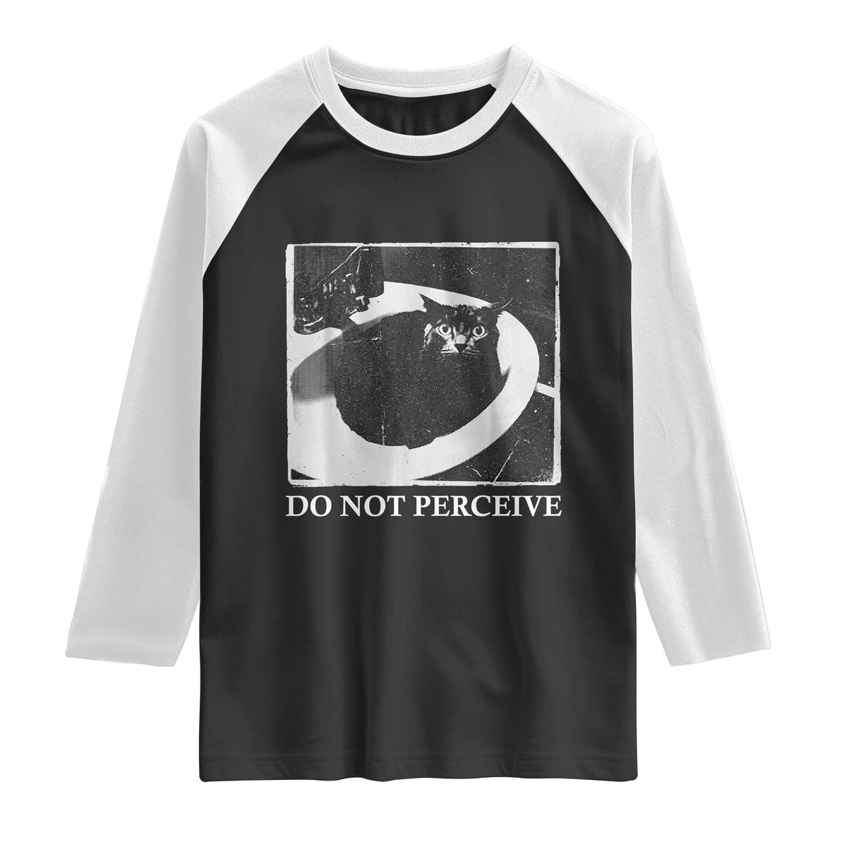 Do Not Perceive Me Funny Meme Cat Lover Raglan Shirt Funny Cat Sarcstic Meme