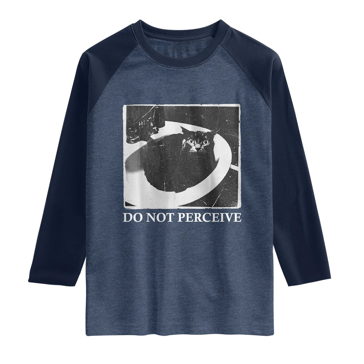 Do Not Perceive Me Funny Meme Cat Lover Raglan Shirt Funny Cat Sarcstic Meme