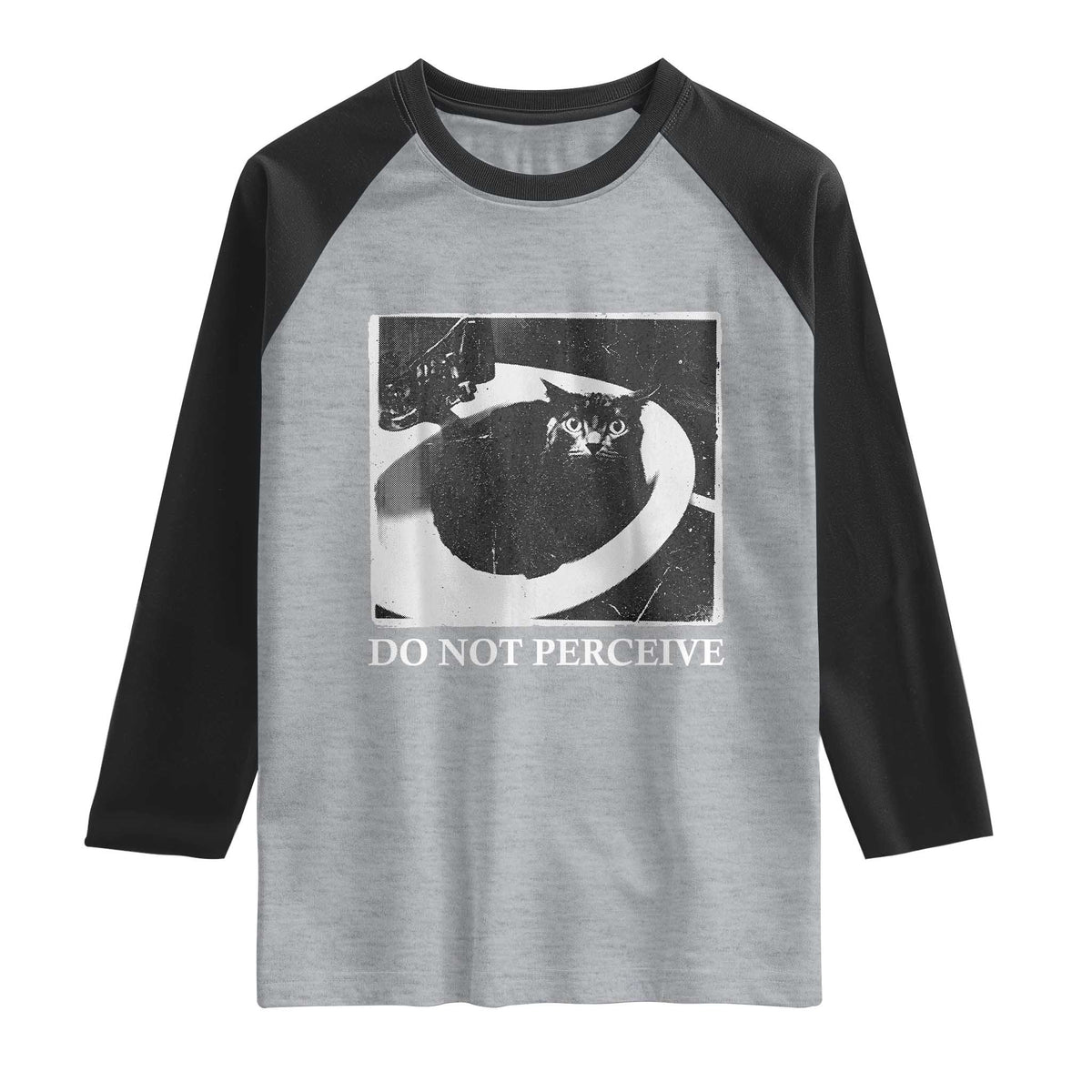 Do Not Perceive Me Funny Meme Cat Lover Raglan Shirt Funny Cat Sarcstic Meme