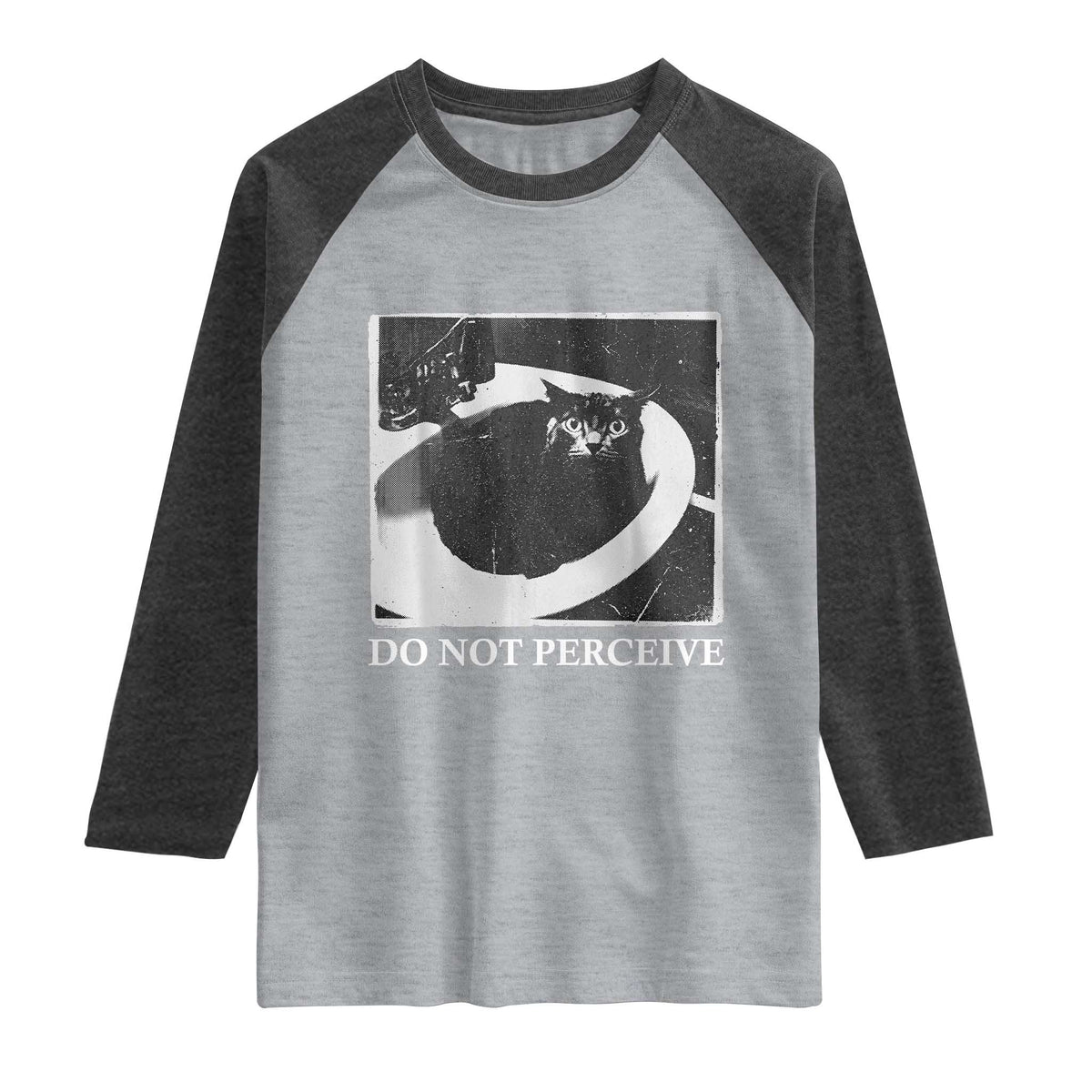 Do Not Perceive Me Funny Meme Cat Lover Raglan Shirt Funny Cat Sarcstic Meme