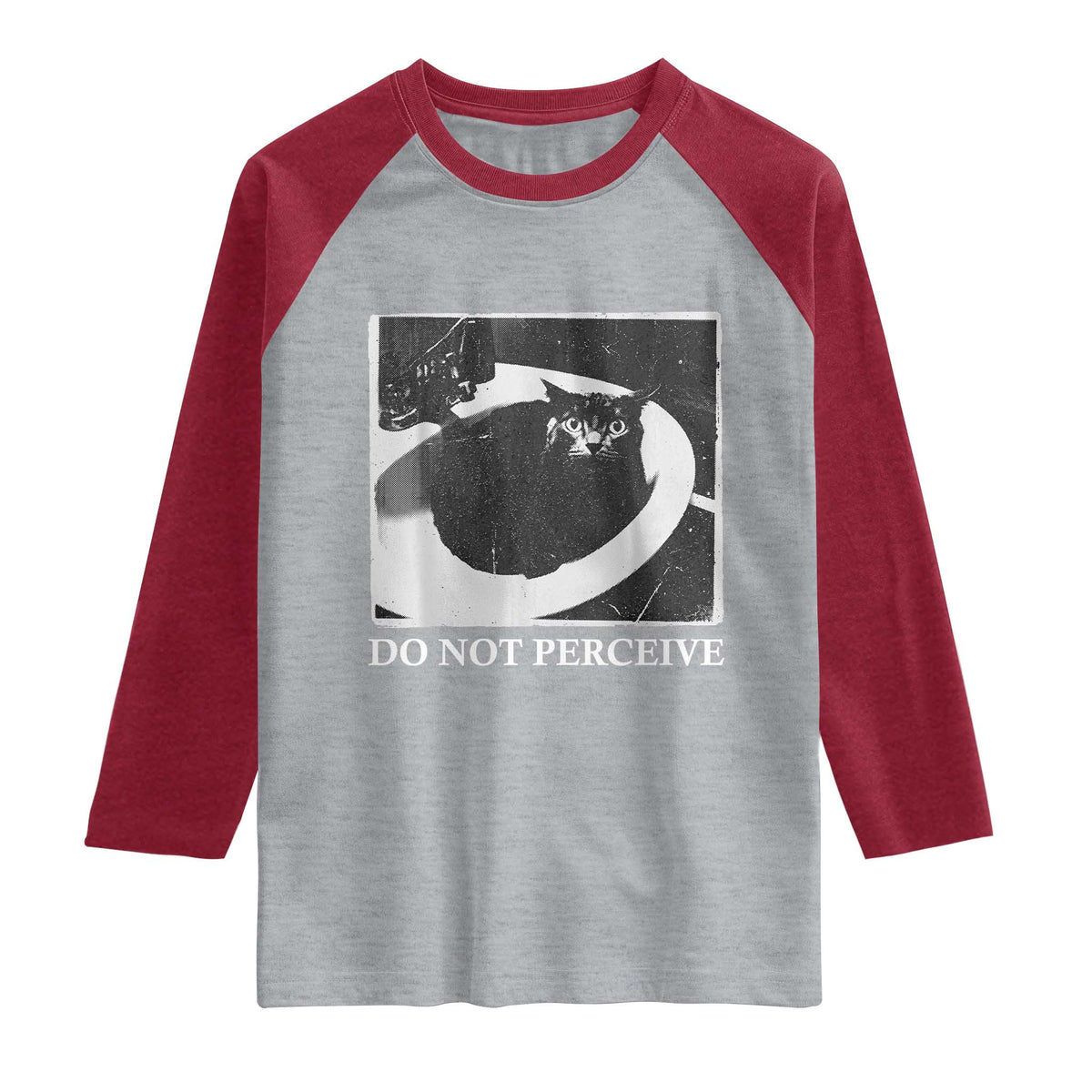 Do Not Perceive Me Funny Meme Cat Lover Raglan Shirt Funny Cat Sarcstic Meme