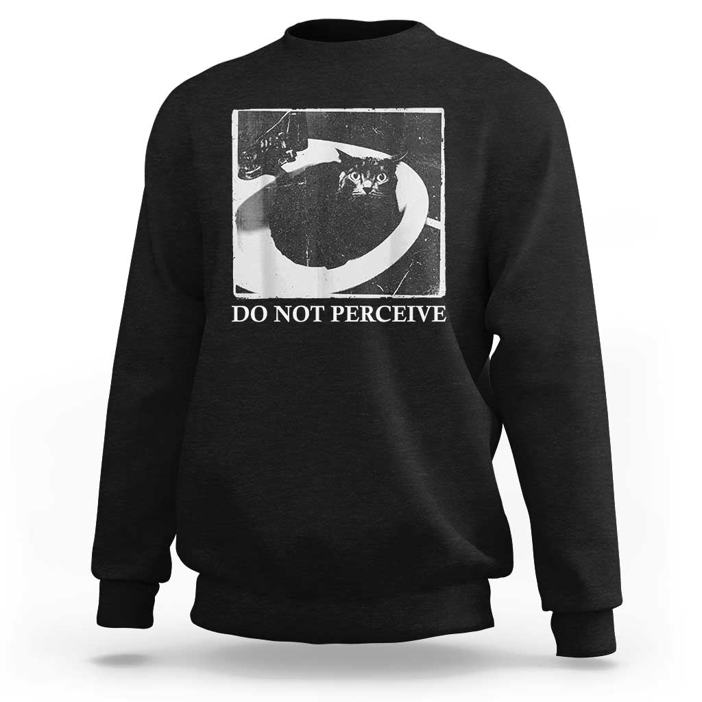 Do Not Perceive Me Funny Meme Cat Lover Sweatshirt Funny Cat Sarcstic Meme