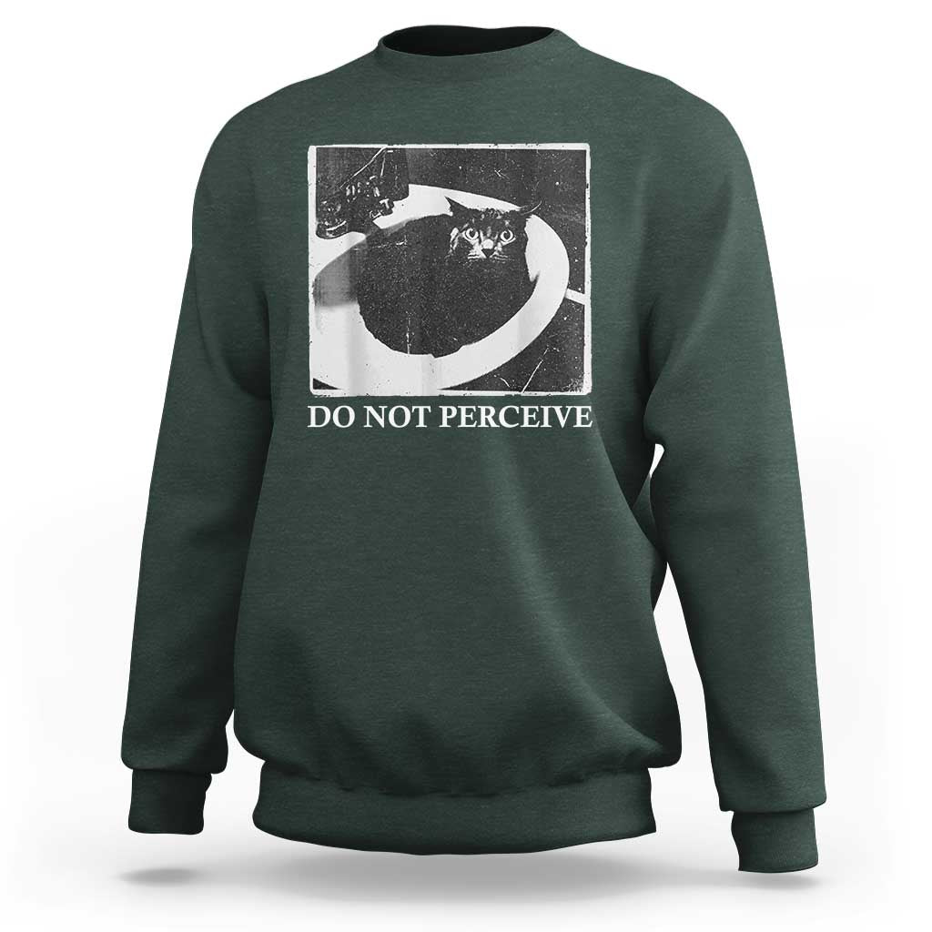 Do Not Perceive Me Funny Meme Cat Lover Sweatshirt Funny Cat Sarcstic Meme