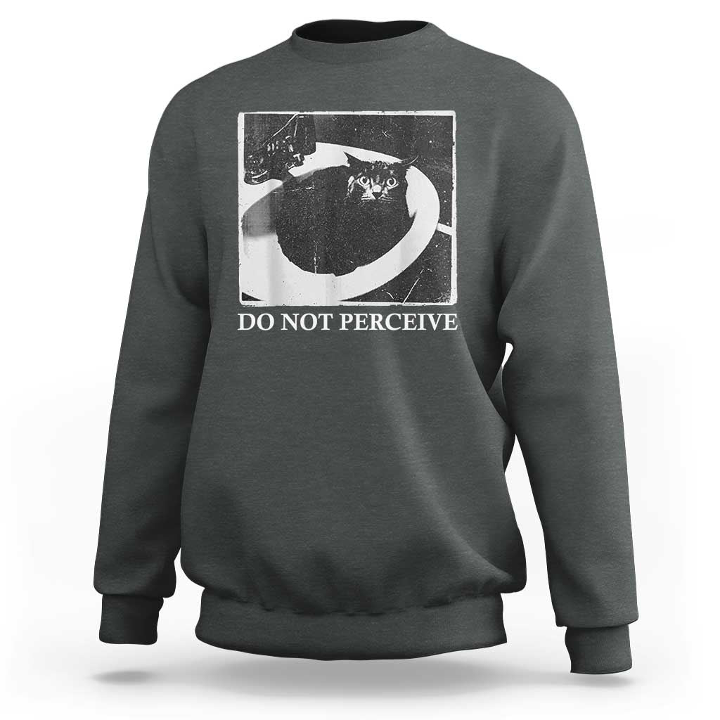 Do Not Perceive Me Funny Meme Cat Lover Sweatshirt Funny Cat Sarcstic Meme