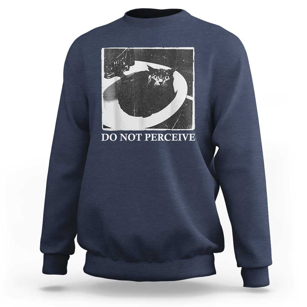 Do Not Perceive Me Funny Meme Cat Lover Sweatshirt Funny Cat Sarcstic Meme