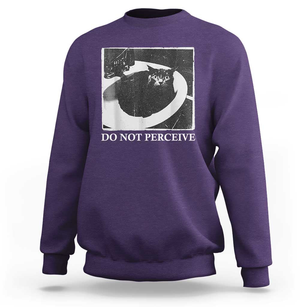 Do Not Perceive Me Funny Meme Cat Lover Sweatshirt Funny Cat Sarcstic Meme