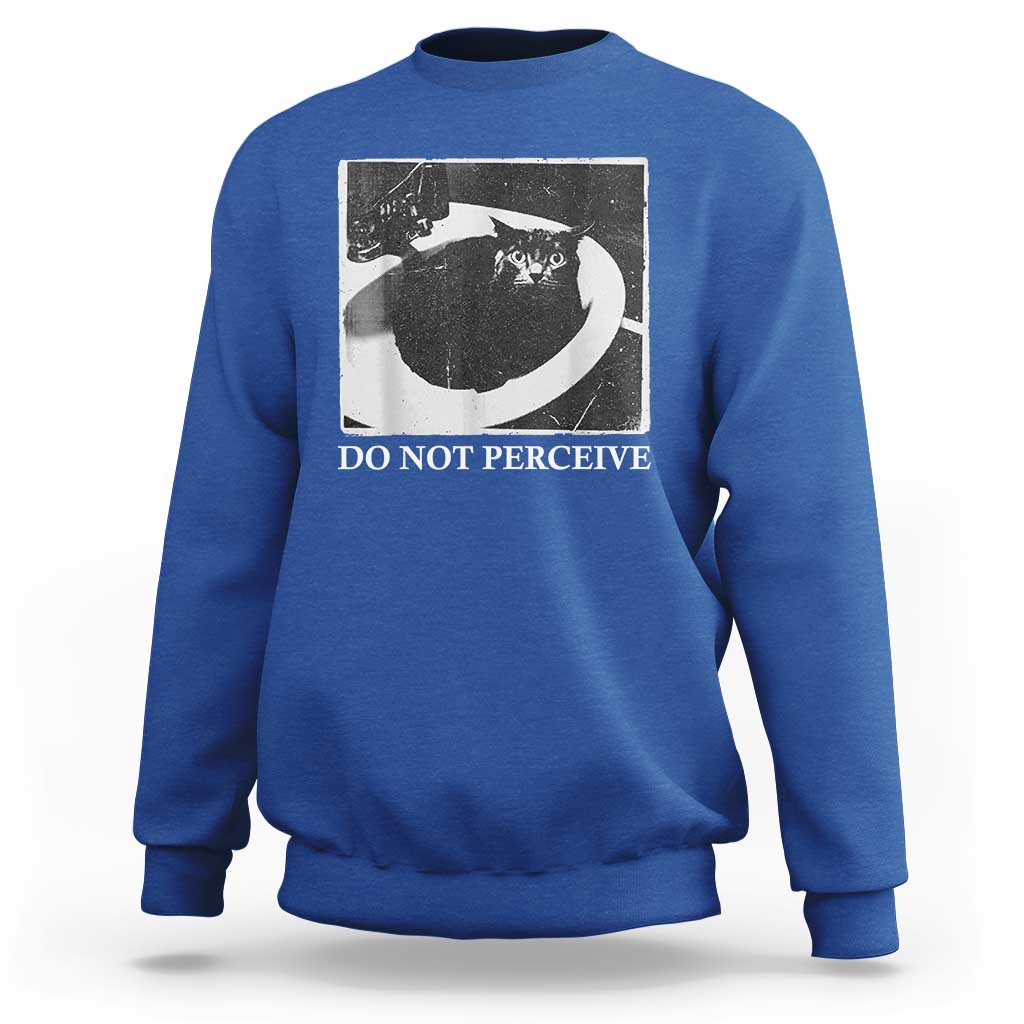 Do Not Perceive Me Funny Meme Cat Lover Sweatshirt Funny Cat Sarcstic Meme