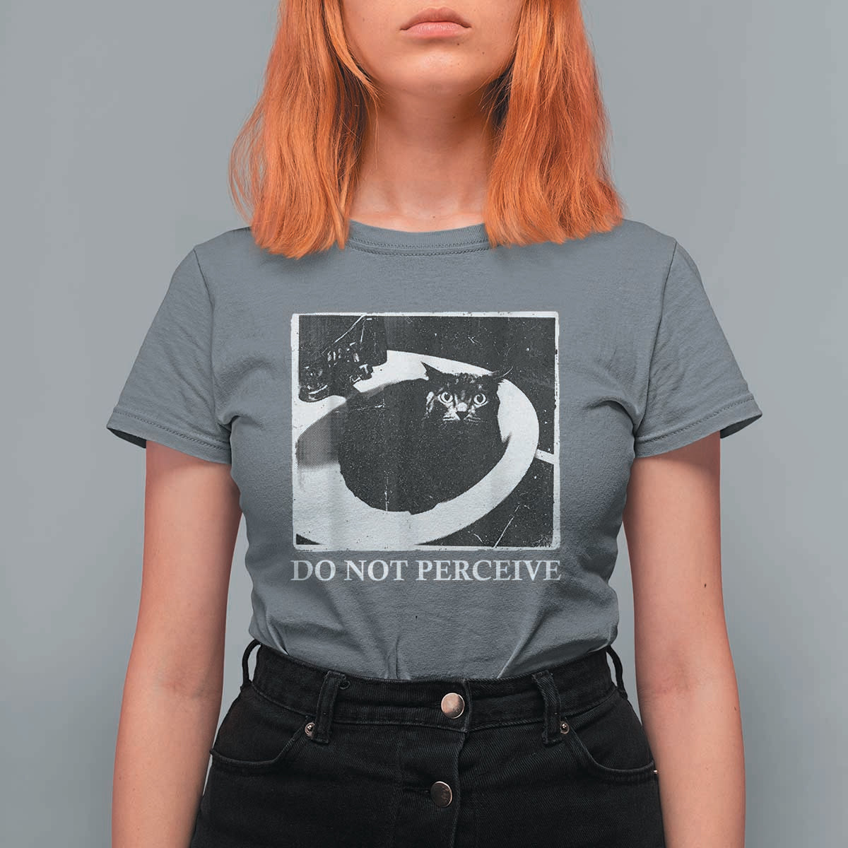 Do Not Perceive Me Funny Meme Cat Lover T Shirt For Women Funny Cat Sarcstic Meme
