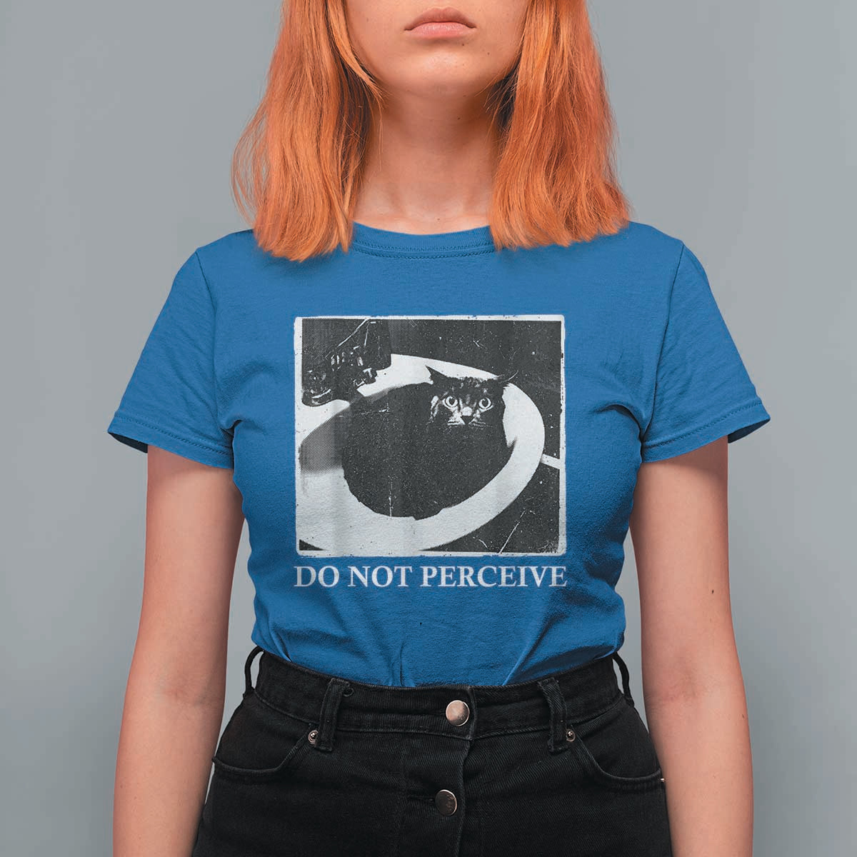 Do Not Perceive Me Funny Meme Cat Lover T Shirt For Women Funny Cat Sarcstic Meme