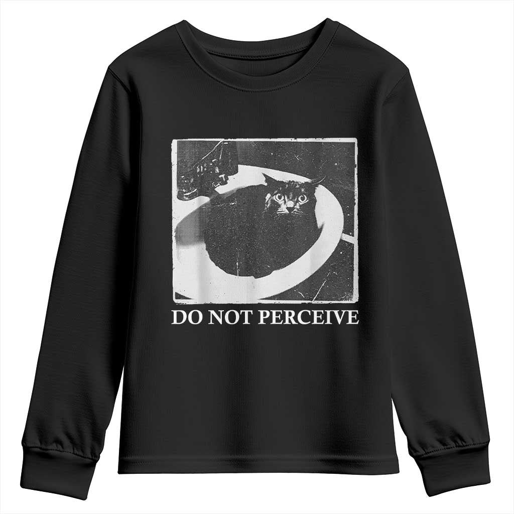 Do Not Perceive Me Funny Meme Cat Lover Youth Sweatshirt Funny Cat Sarcstic Meme