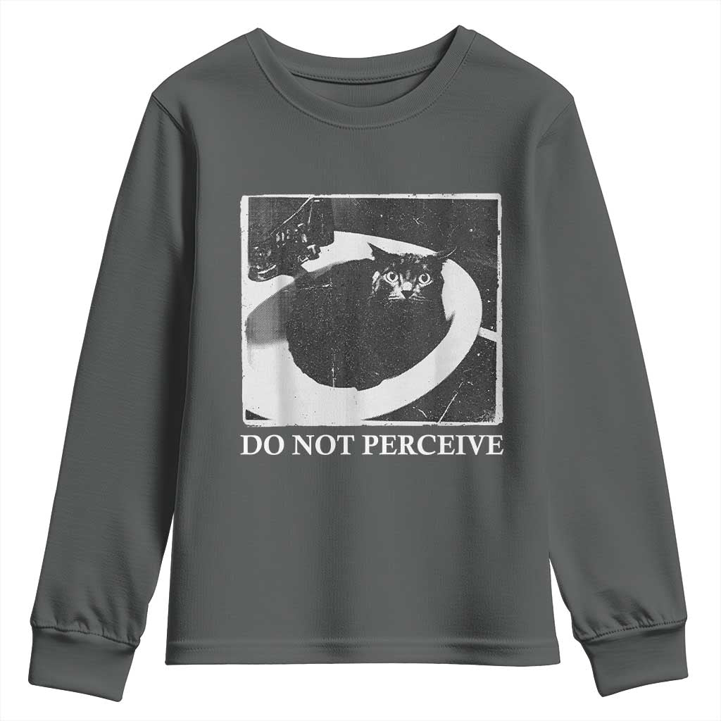 Do Not Perceive Me Funny Meme Cat Lover Youth Sweatshirt Funny Cat Sarcstic Meme