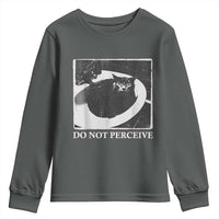 Do Not Perceive Me Funny Meme Cat Lover Youth Sweatshirt Funny Cat Sarcstic Meme