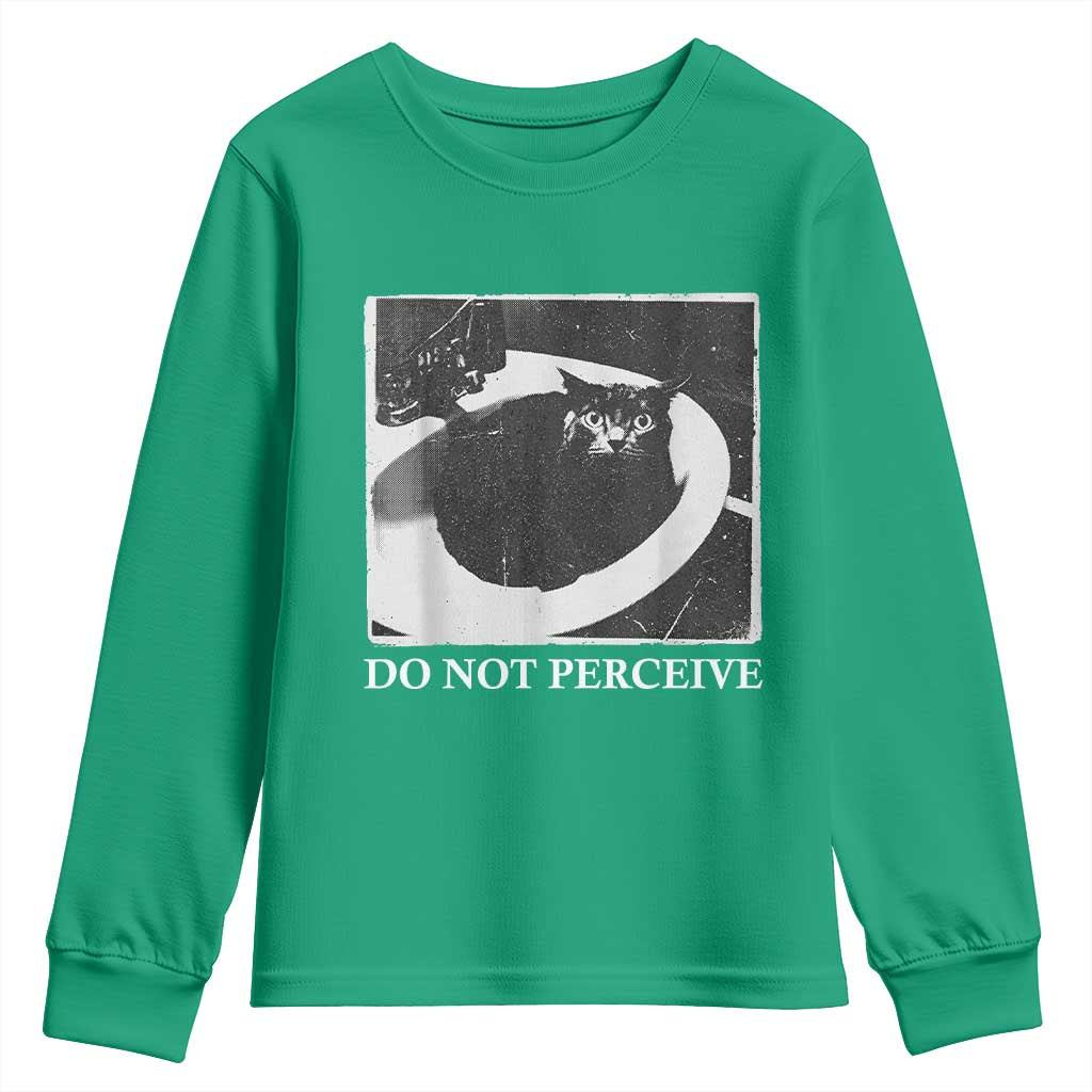 Do Not Perceive Me Funny Meme Cat Lover Youth Sweatshirt Funny Cat Sarcstic Meme