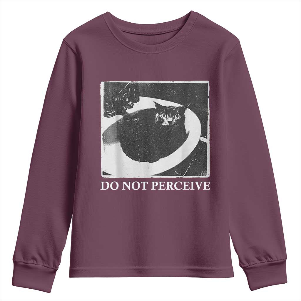 Do Not Perceive Me Funny Meme Cat Lover Youth Sweatshirt Funny Cat Sarcstic Meme