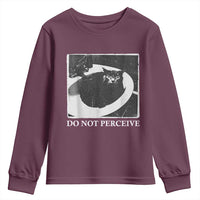 Do Not Perceive Me Funny Meme Cat Lover Youth Sweatshirt Funny Cat Sarcstic Meme