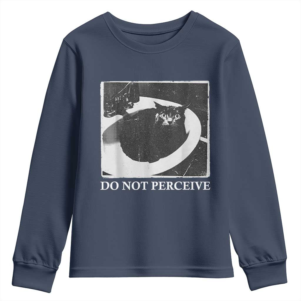 Do Not Perceive Me Funny Meme Cat Lover Youth Sweatshirt Funny Cat Sarcstic Meme