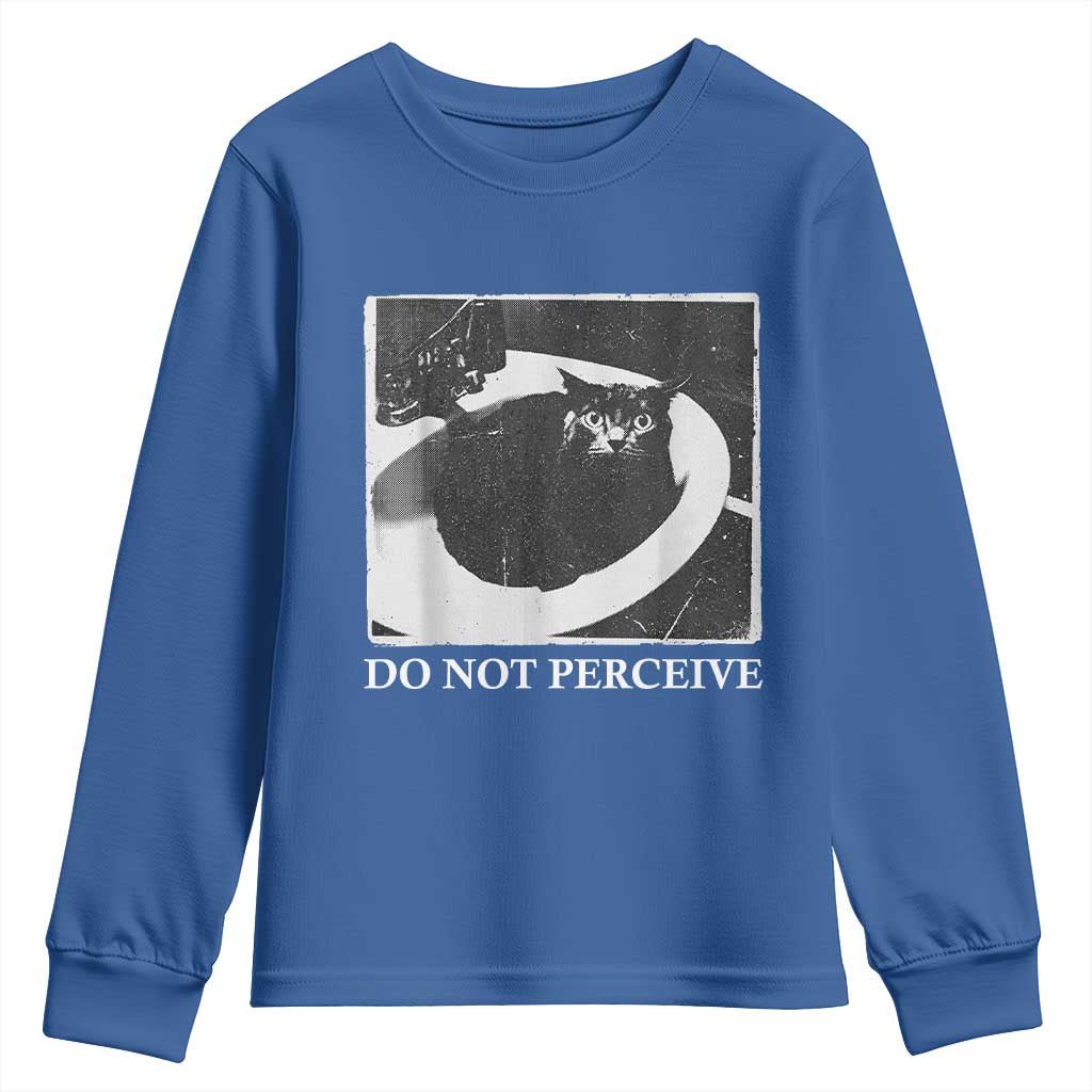 Do Not Perceive Me Funny Meme Cat Lover Youth Sweatshirt Funny Cat Sarcstic Meme