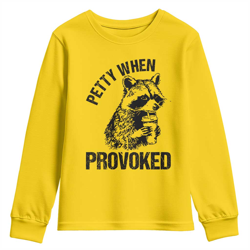 Petty When Provoked Youth Sweatshirt Funny Raccoon Meme - Wonder Print Shop