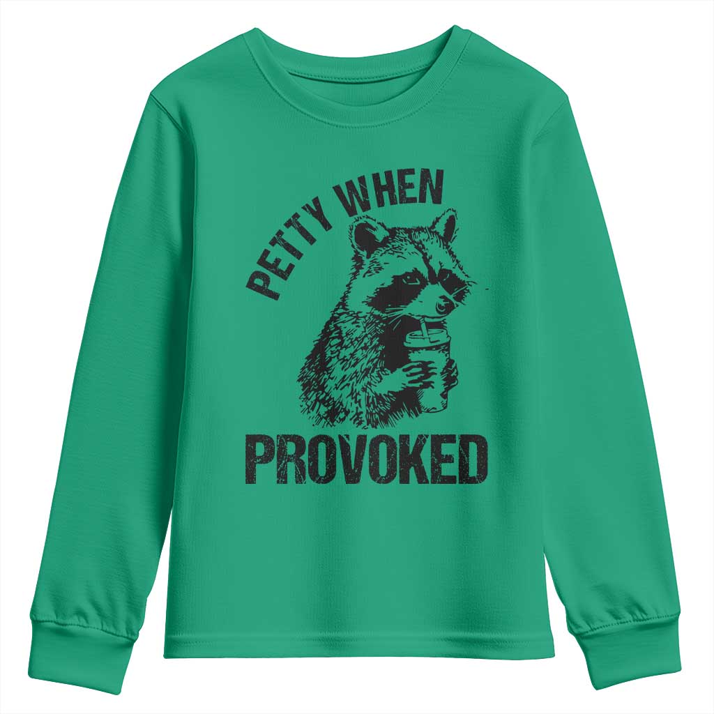 Petty When Provoked Youth Sweatshirt Funny Raccoon Meme - Wonder Print Shop
