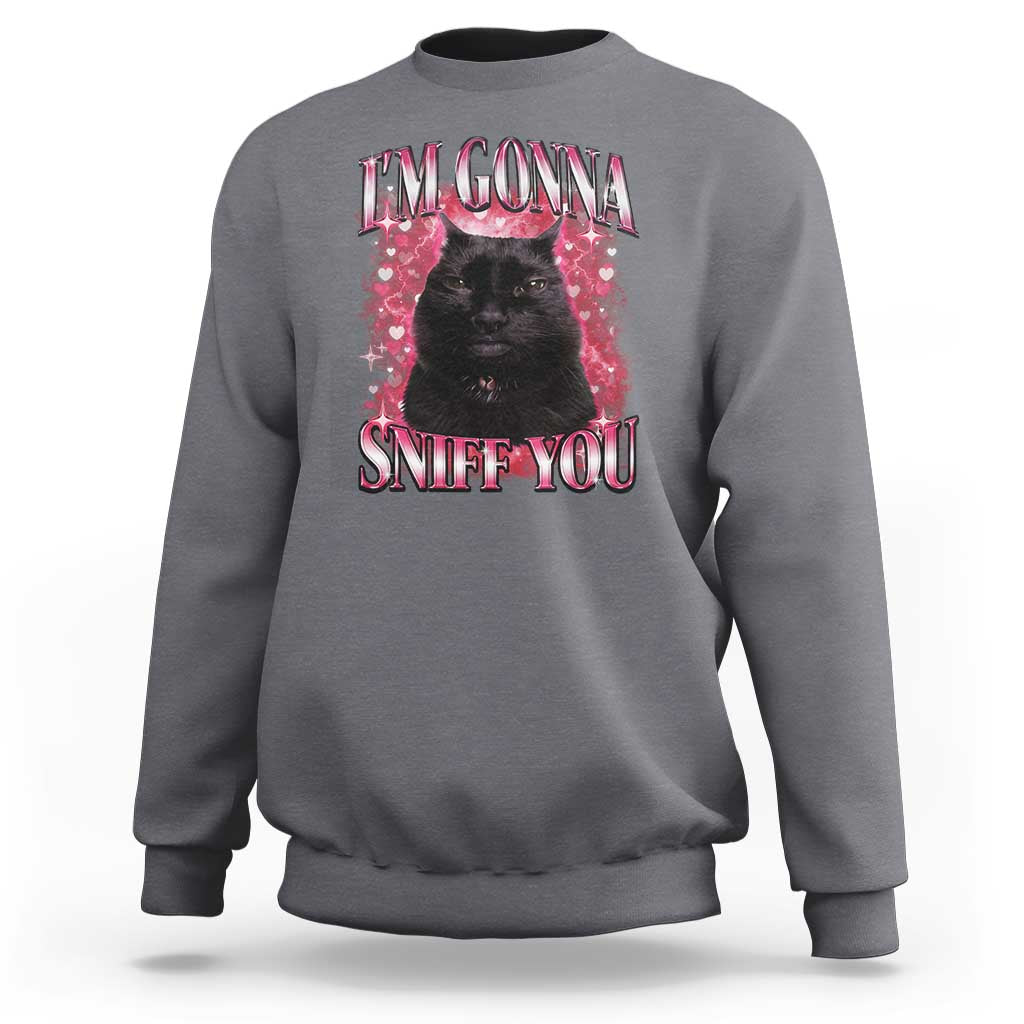 I'm Gonna Sniff You Sweatshirt Funny Black Cat Meme