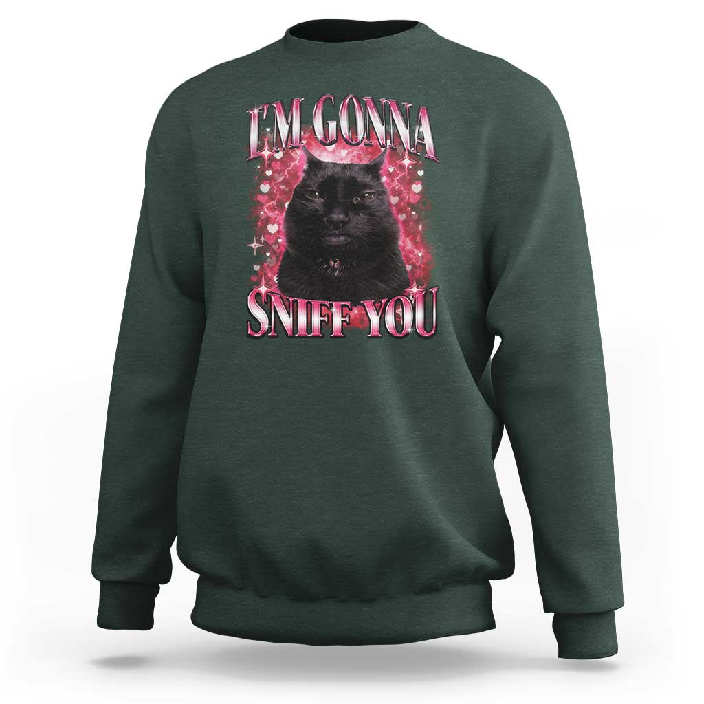 I'm Gonna Sniff You Sweatshirt Funny Black Cat Meme