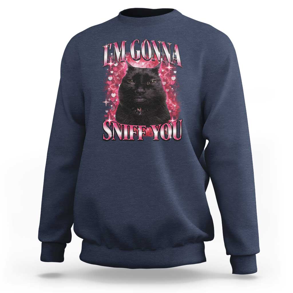 I'm Gonna Sniff You Sweatshirt Funny Black Cat Meme