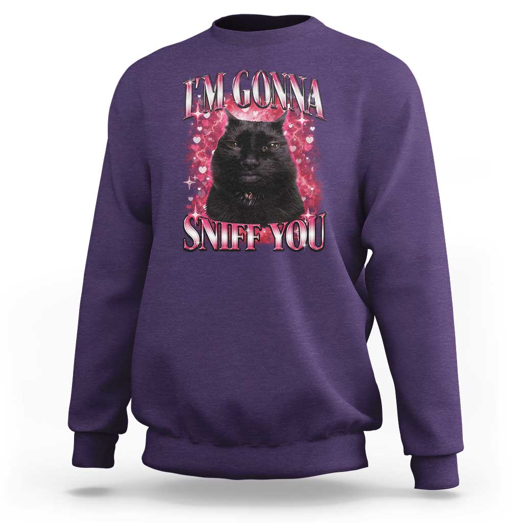 I'm Gonna Sniff You Sweatshirt Funny Black Cat Meme