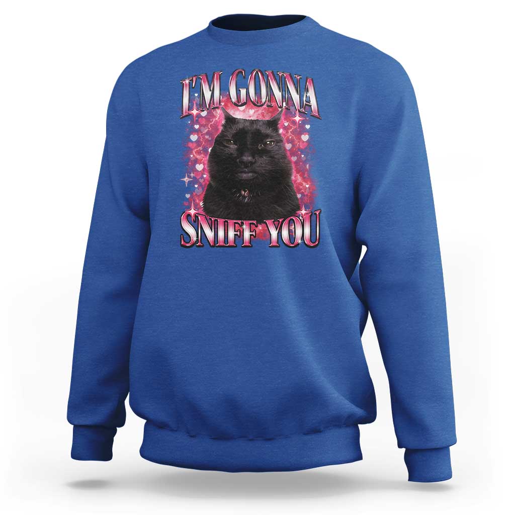 I'm Gonna Sniff You Sweatshirt Funny Black Cat Meme