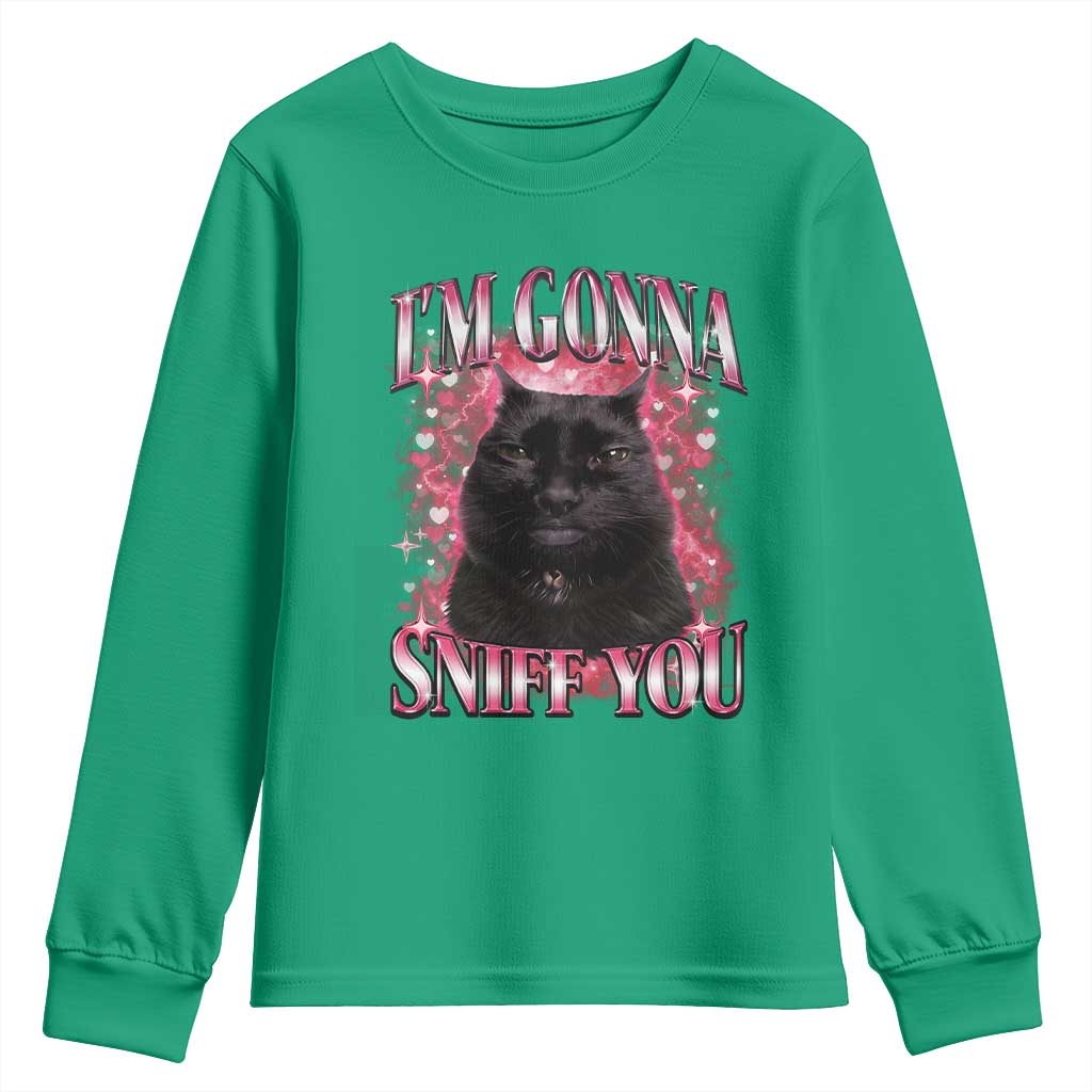 I'm Gonna Sniff You Youth Sweatshirt Funny Black Cat Meme