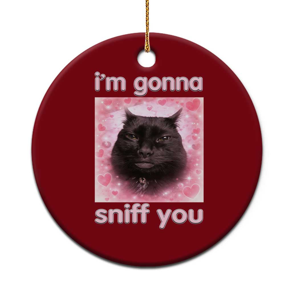 I'm Gonna Sniff You Ceramic Ornament Funny Black Cat Brainrot Meme
