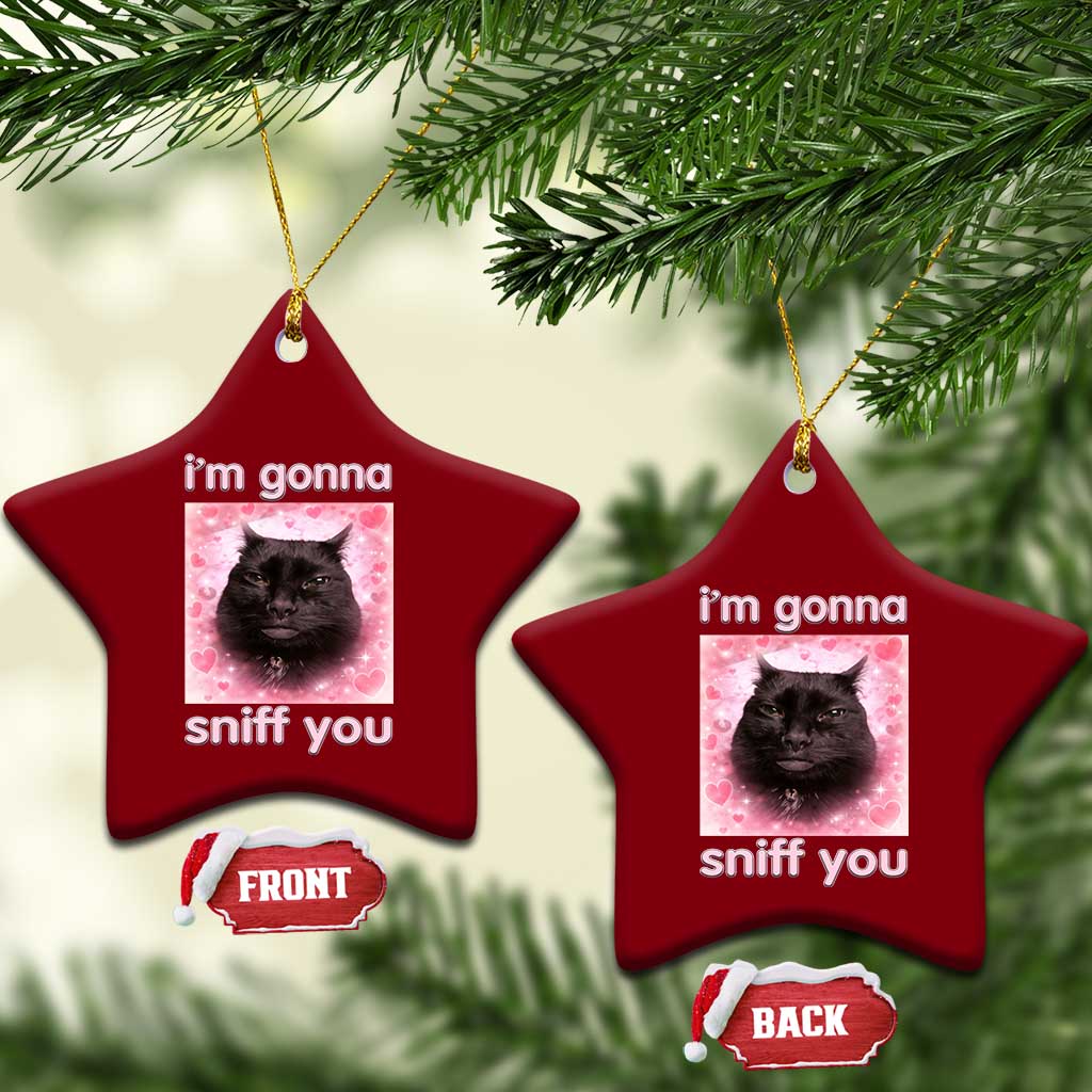 I'm Gonna Sniff You Ceramic Ornament Funny Black Cat Brainrot Meme