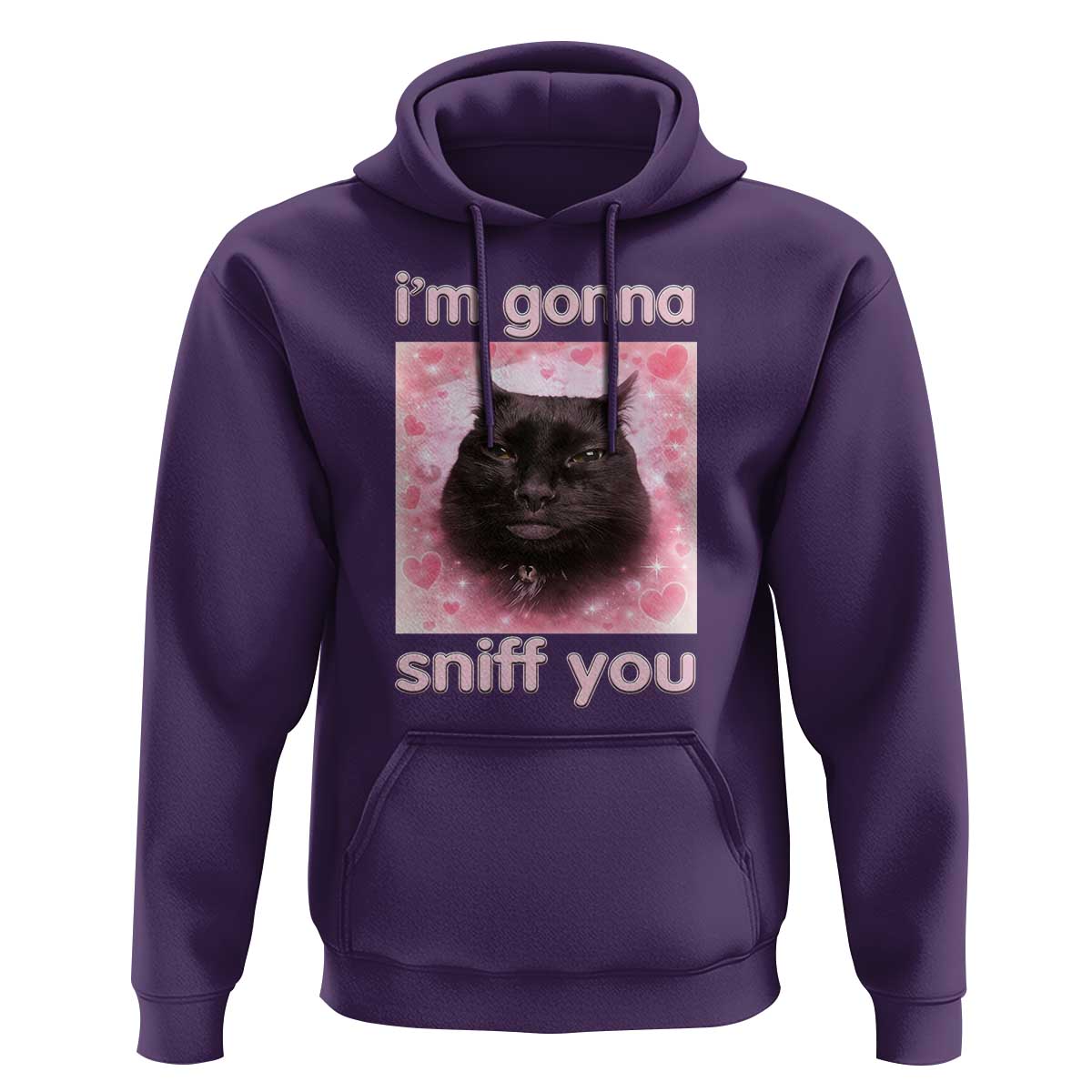 I'm Gonna Sniff You Hoodie Funny Black Cat Brainrot Meme
