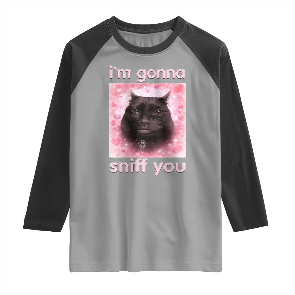 I'm Gonna Sniff You Raglan Shirt Funny Black Cat Brainrot Meme
