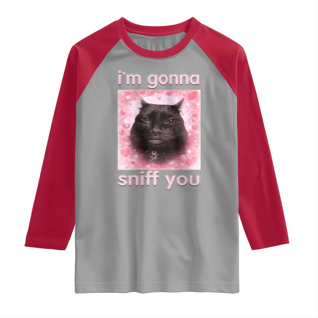 I'm Gonna Sniff You Raglan Shirt Funny Black Cat Brainrot Meme