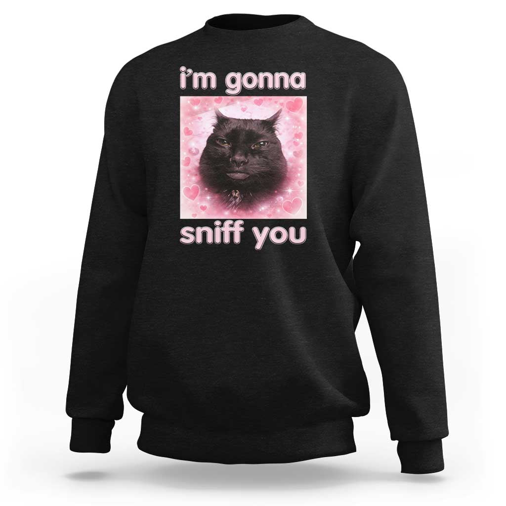 I'm Gonna Sniff You Sweatshirt Funny Black Cat Brainrot Meme