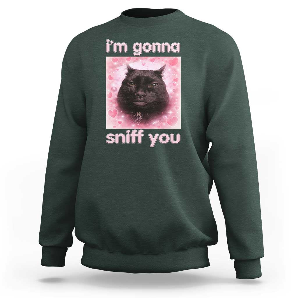 I'm Gonna Sniff You Sweatshirt Funny Black Cat Brainrot Meme