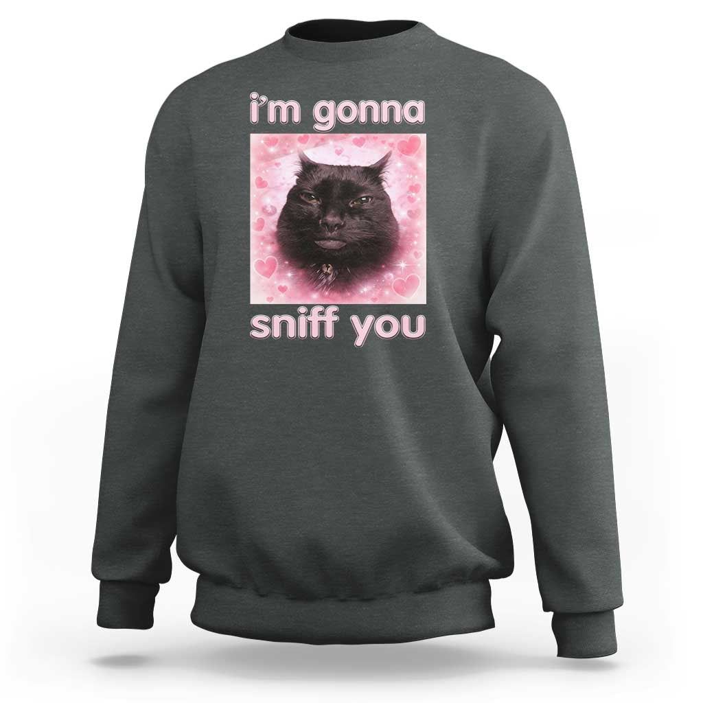 I'm Gonna Sniff You Sweatshirt Funny Black Cat Brainrot Meme