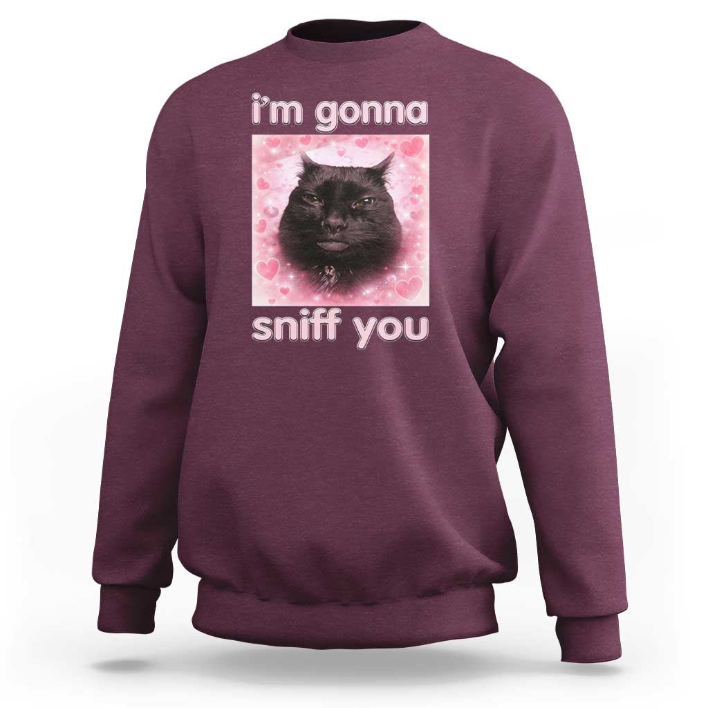 I'm Gonna Sniff You Sweatshirt Funny Black Cat Brainrot Meme