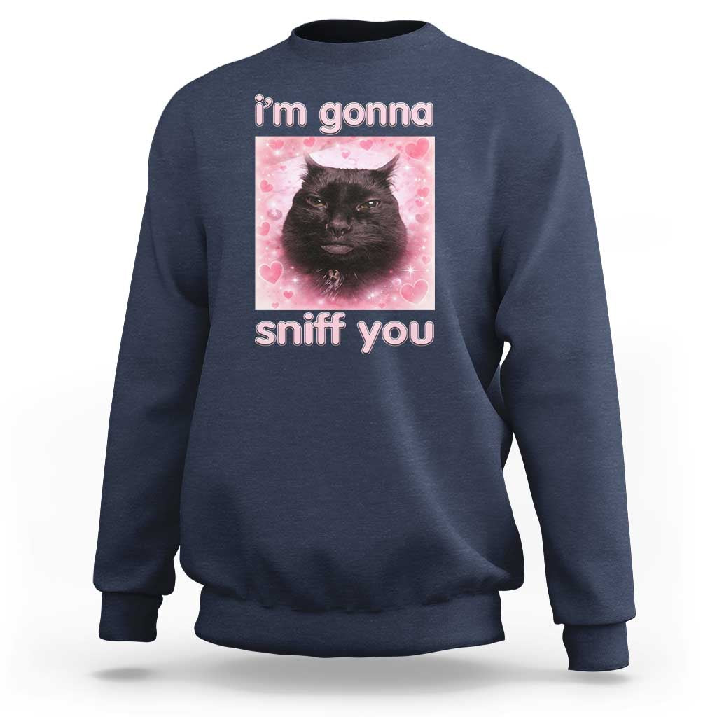 I'm Gonna Sniff You Sweatshirt Funny Black Cat Brainrot Meme