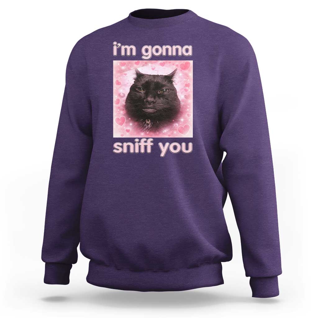 I'm Gonna Sniff You Sweatshirt Funny Black Cat Brainrot Meme