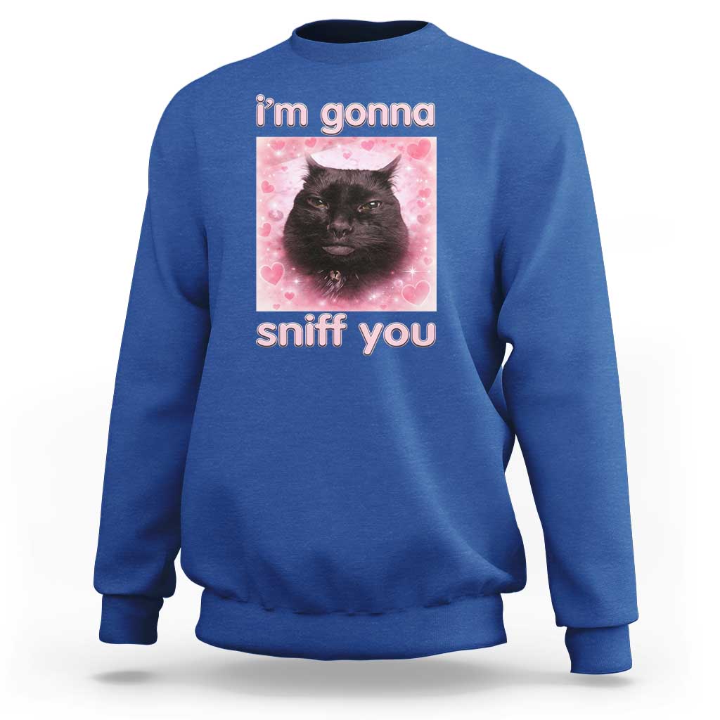 I'm Gonna Sniff You Sweatshirt Funny Black Cat Brainrot Meme