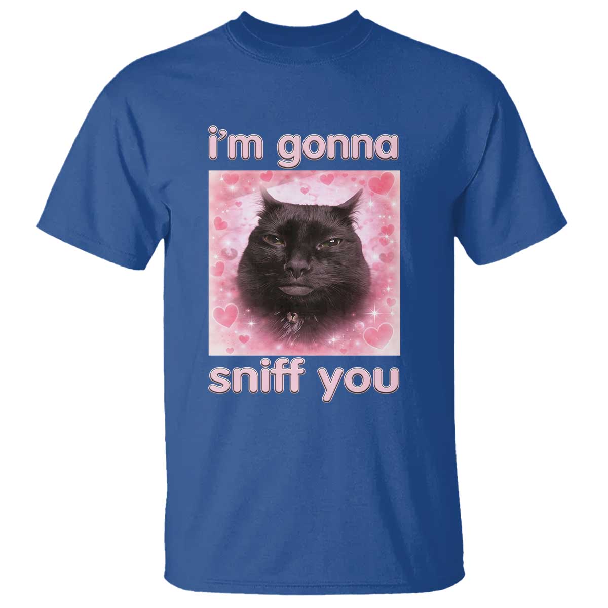 I'm Gonna Sniff You T Shirt Funny Black Cat Brainrot Meme